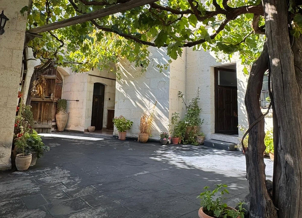 Aravan Evi courtyard beneath the grapevine