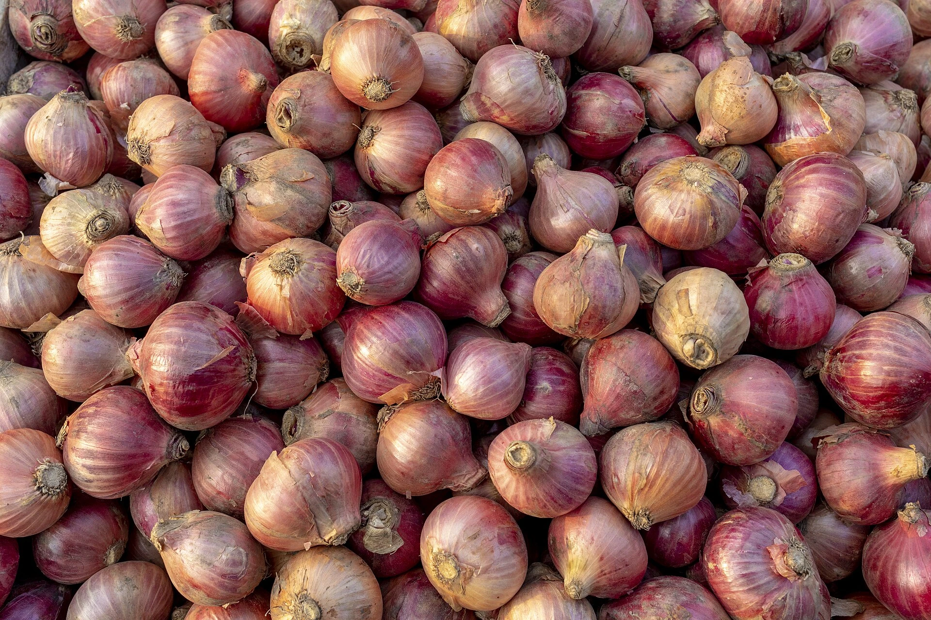 Onions; one ingredient used in vegetable stews.