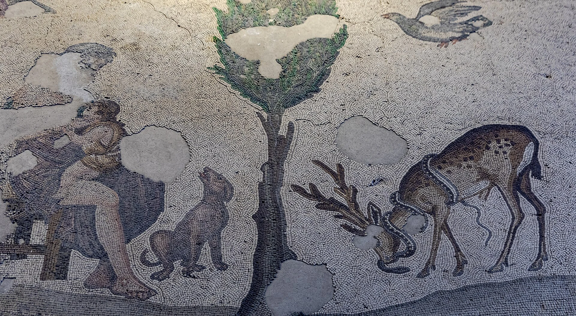 Daily life and animals depicted in Istanbul’s Great Palace mosaics.