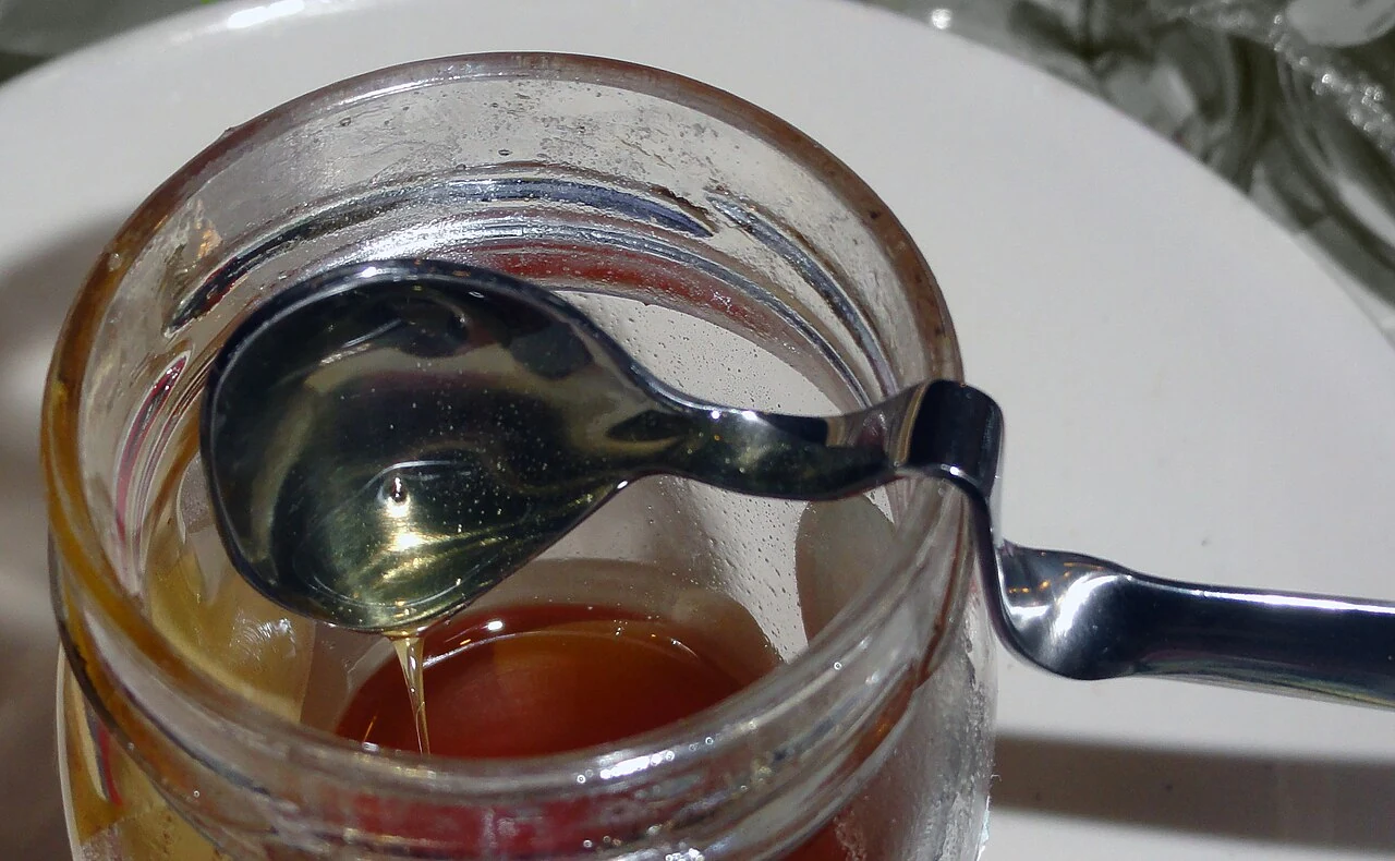 Honey photographed today to illustrate the use of sweeteners in historical cooking.