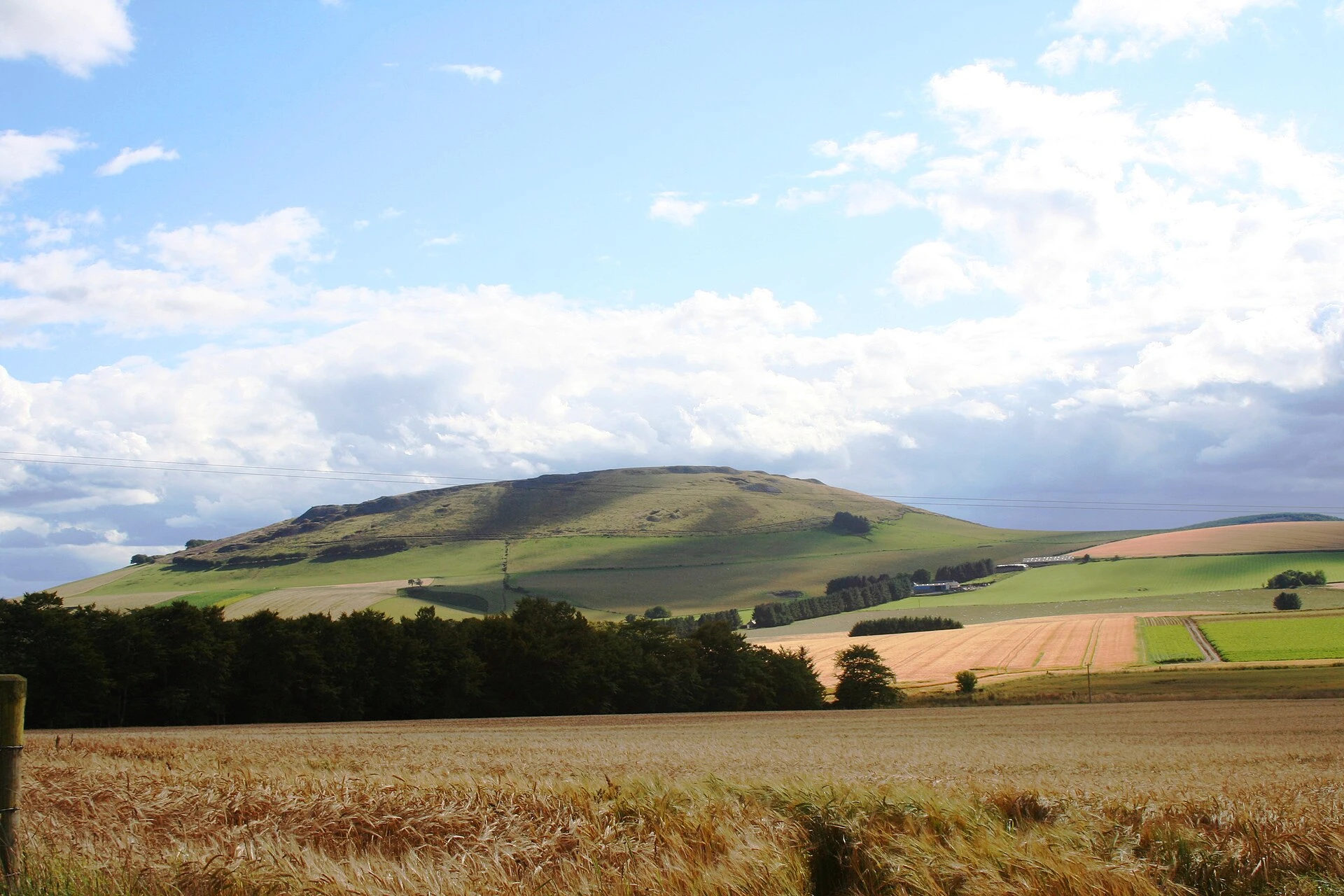 A barley field; modern grain cultivation.