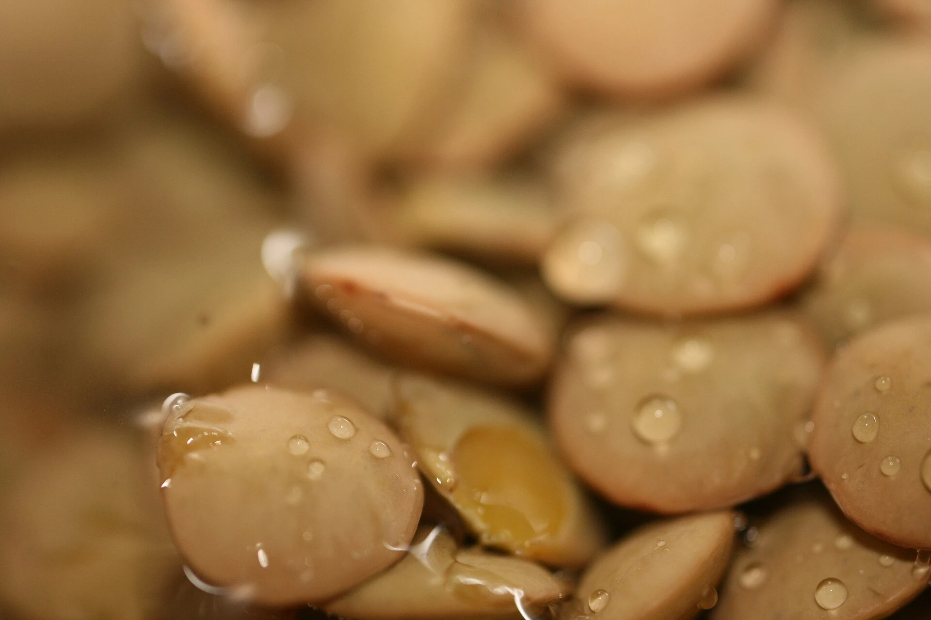Lentils; a modern ingredient photograph.