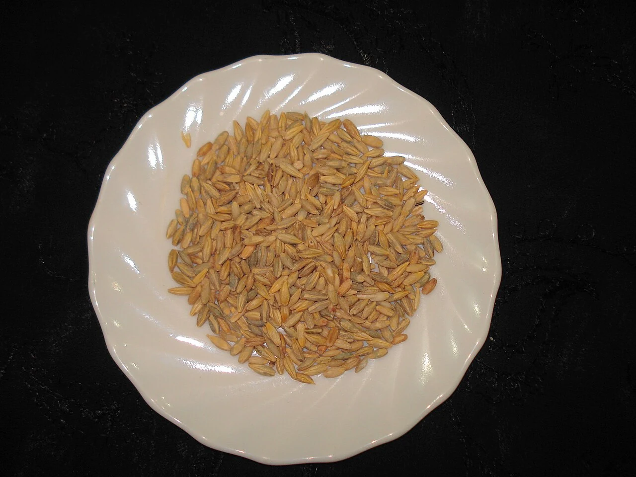 Barley grains, the raw material for brewing, in a modern ingredient photograph.