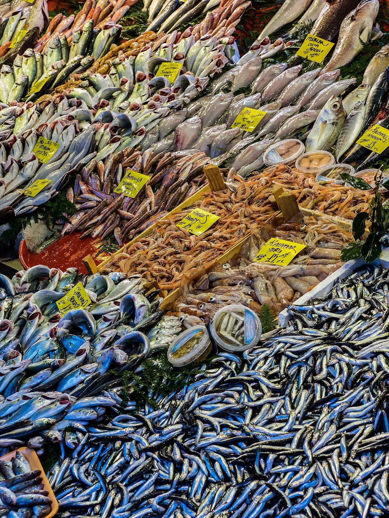 A variety of fish at Beşiktaş fish market.
