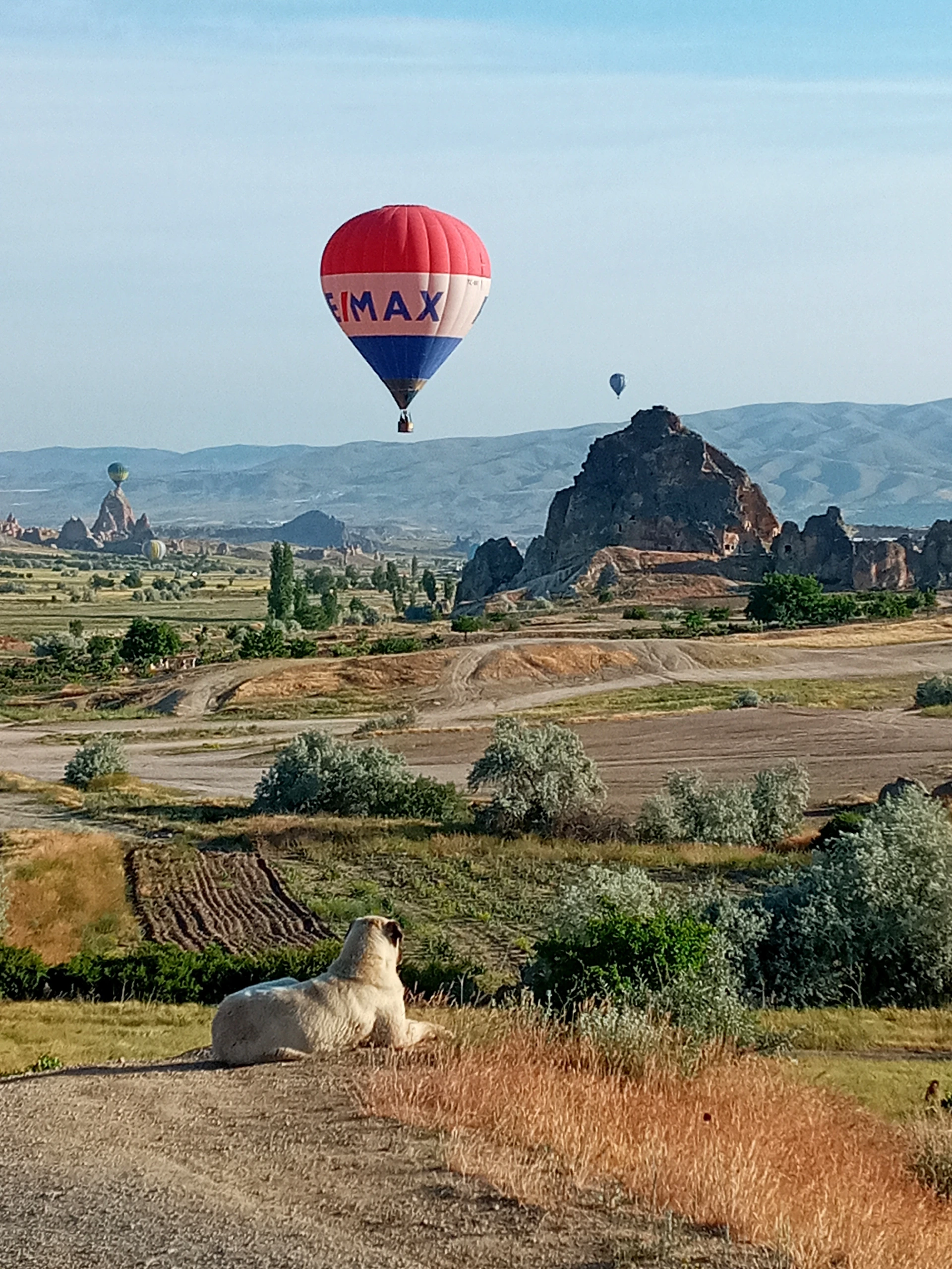 A hot air balloon and the rocky landscape around Göreme.